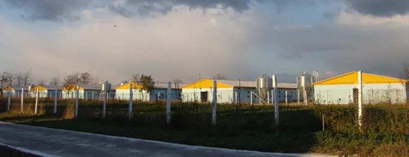 Proiect AMADI — AVE IMPEX, Satu Mare
