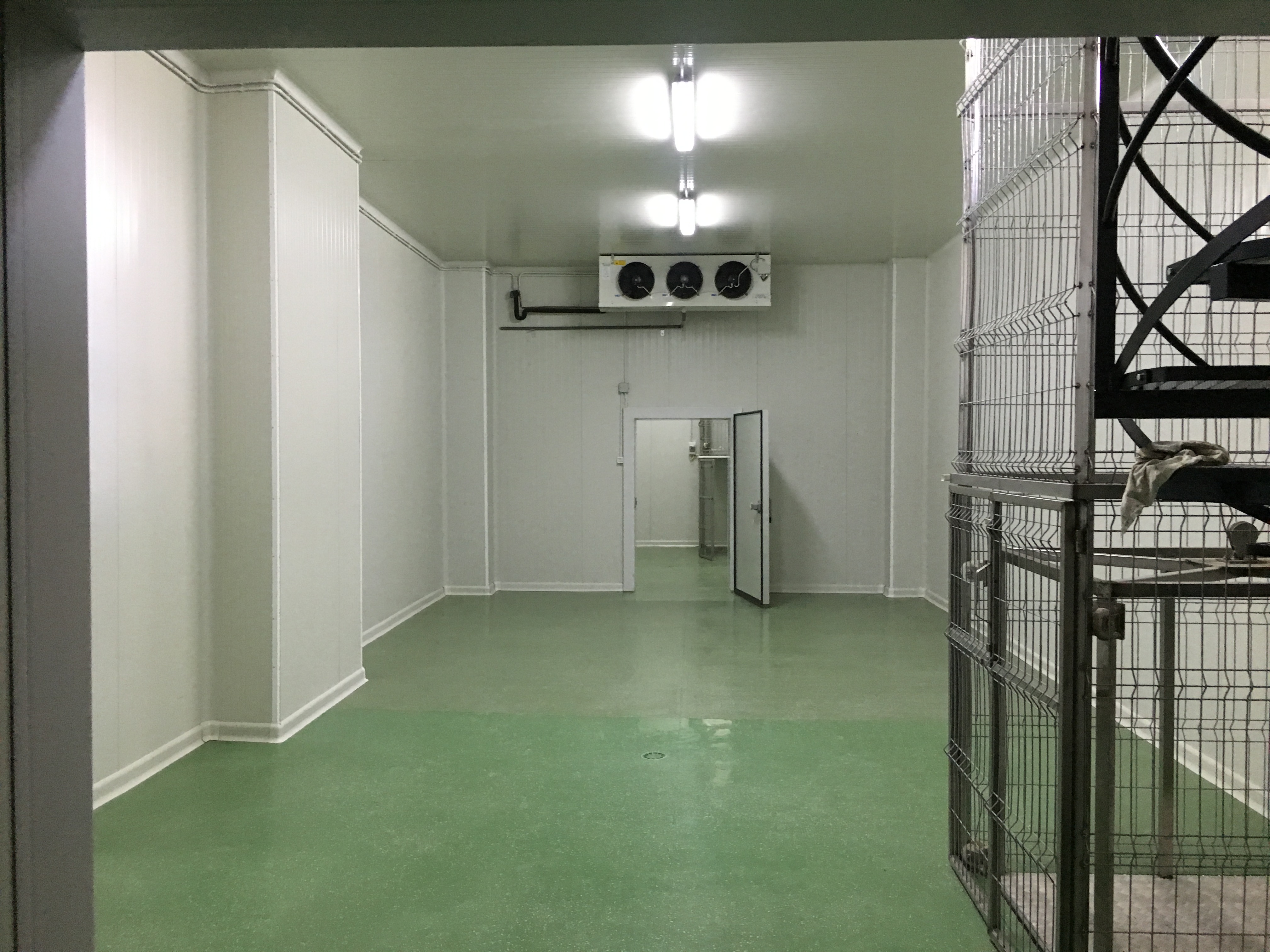 Global Distribution Group